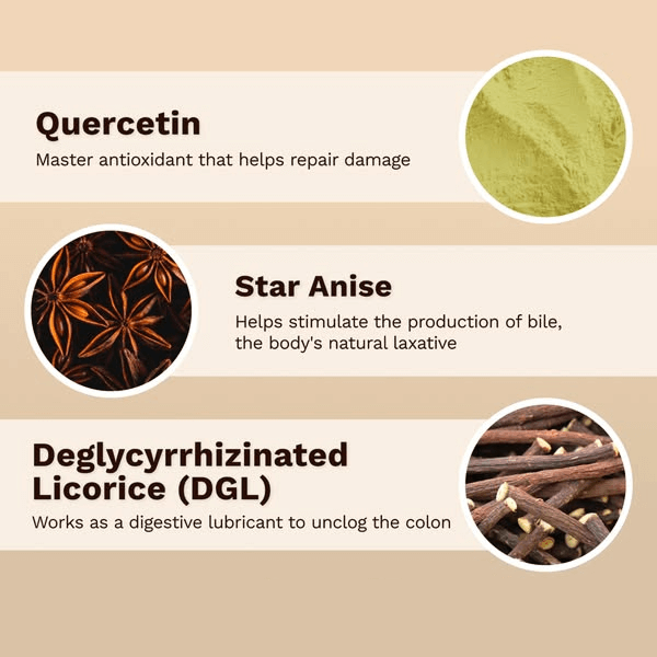 Etera - Regula™ Gut Supplement